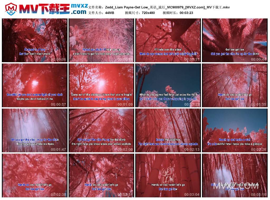 Zedd_Liam Payne-Get Low_英语_流行_MC900979